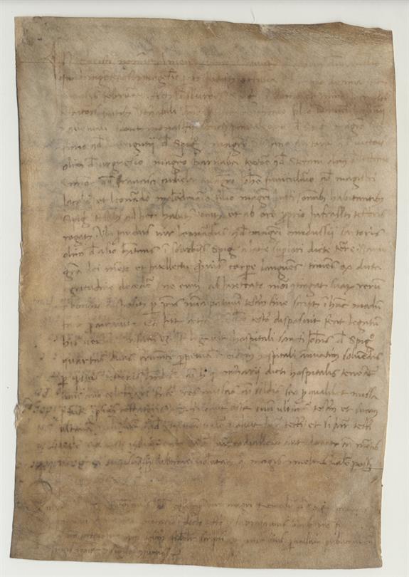 immagine recto pergamena