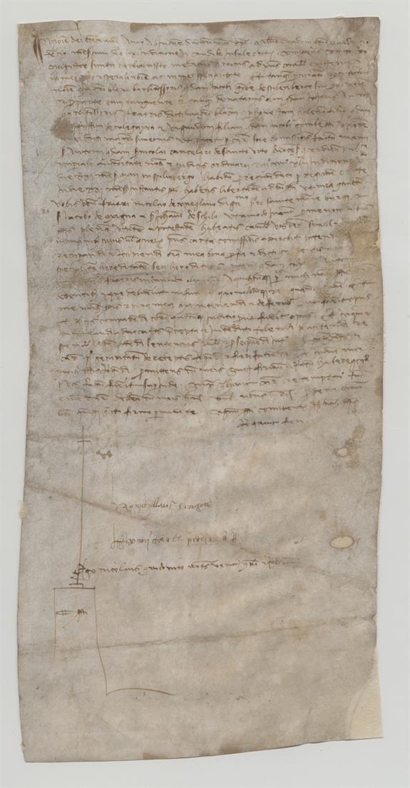 immagine recto pergamena