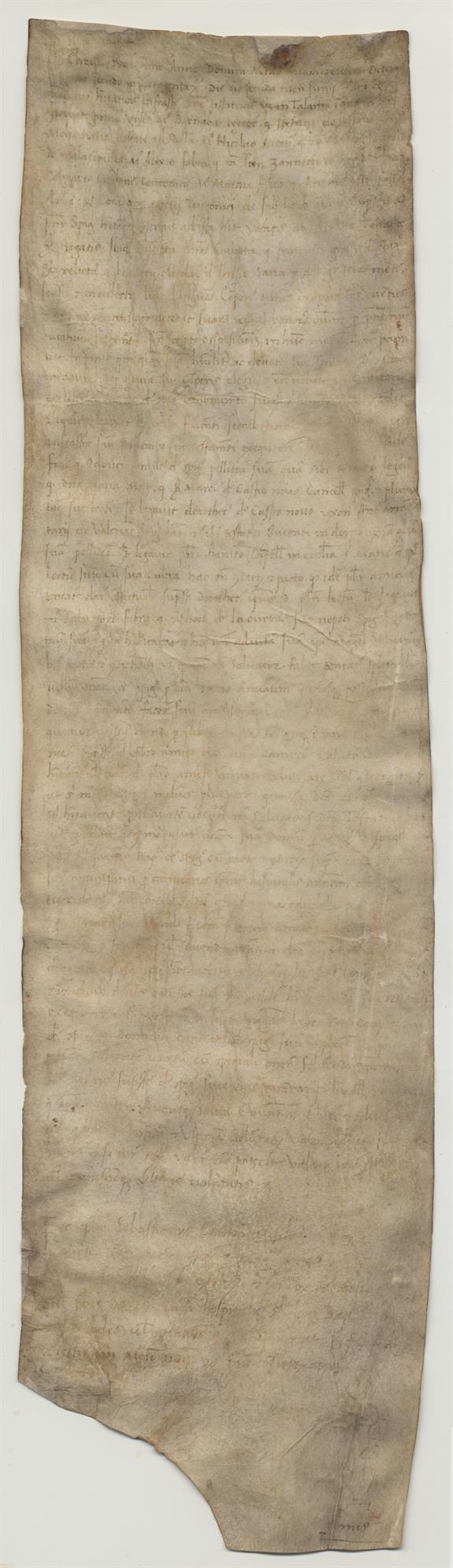 immagine recto pergamena