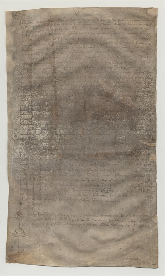 immagine recto pergamena
