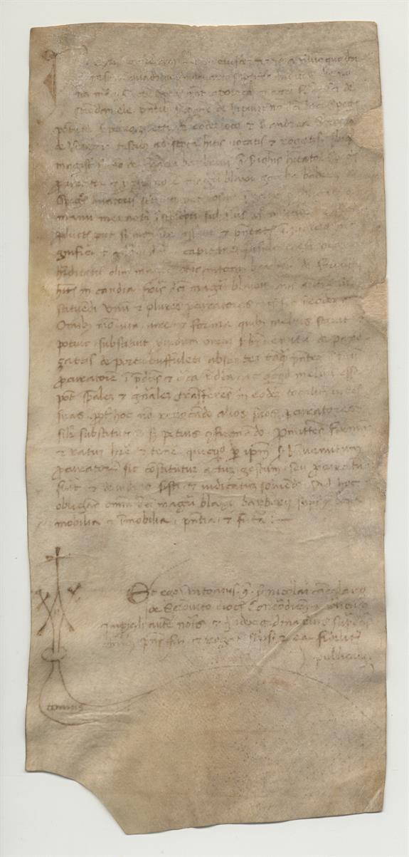 immagine recto pergamena