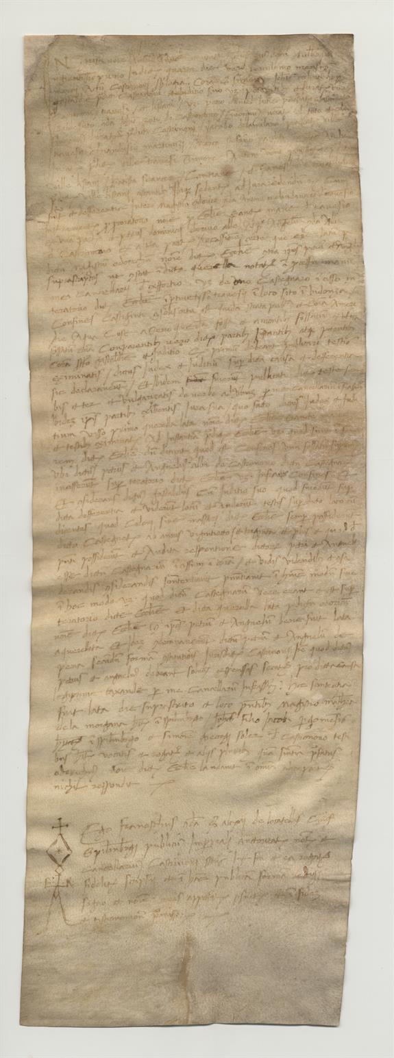 immagine recto pergamena