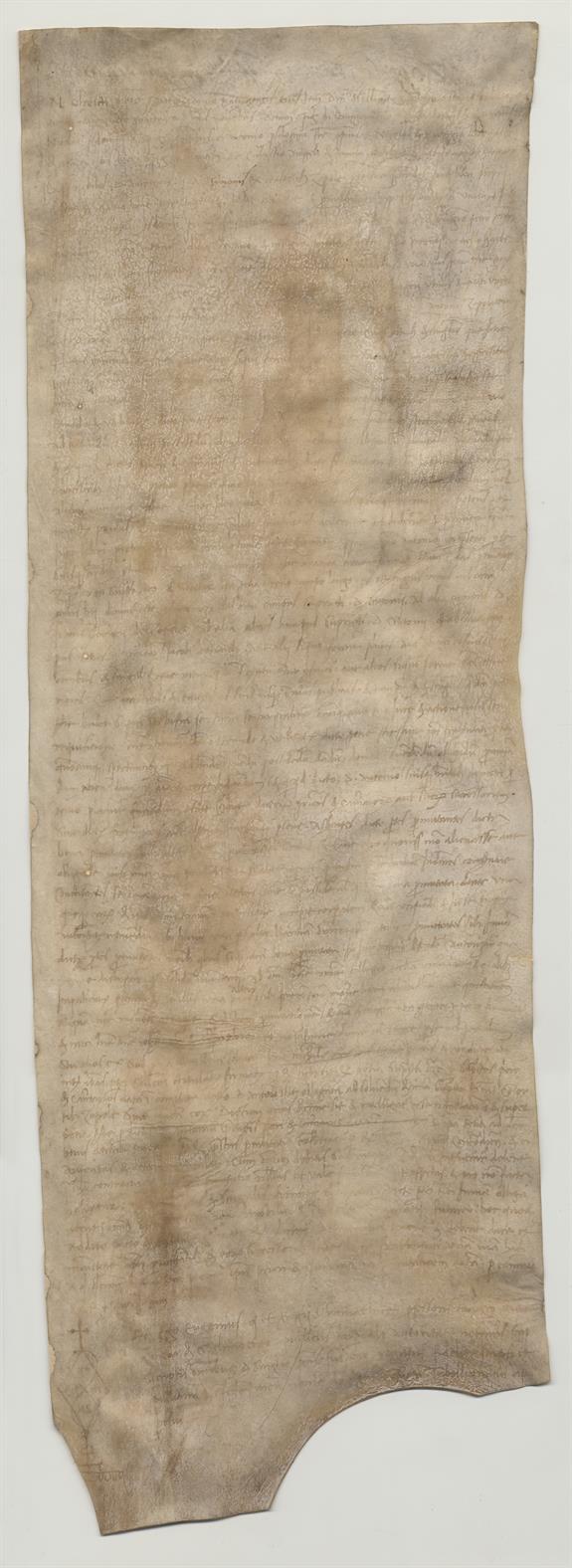 immagine recto pergamena