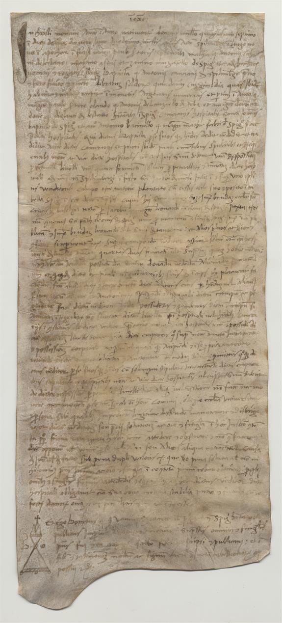 immagine recto pergamena