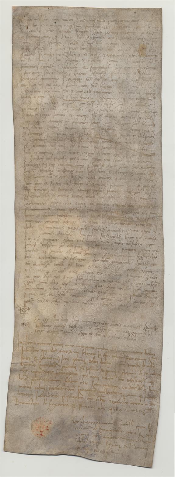 immagine recto pergamena