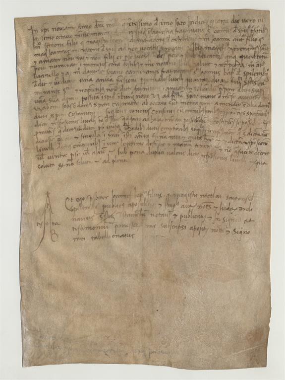 immagine recto pergamena