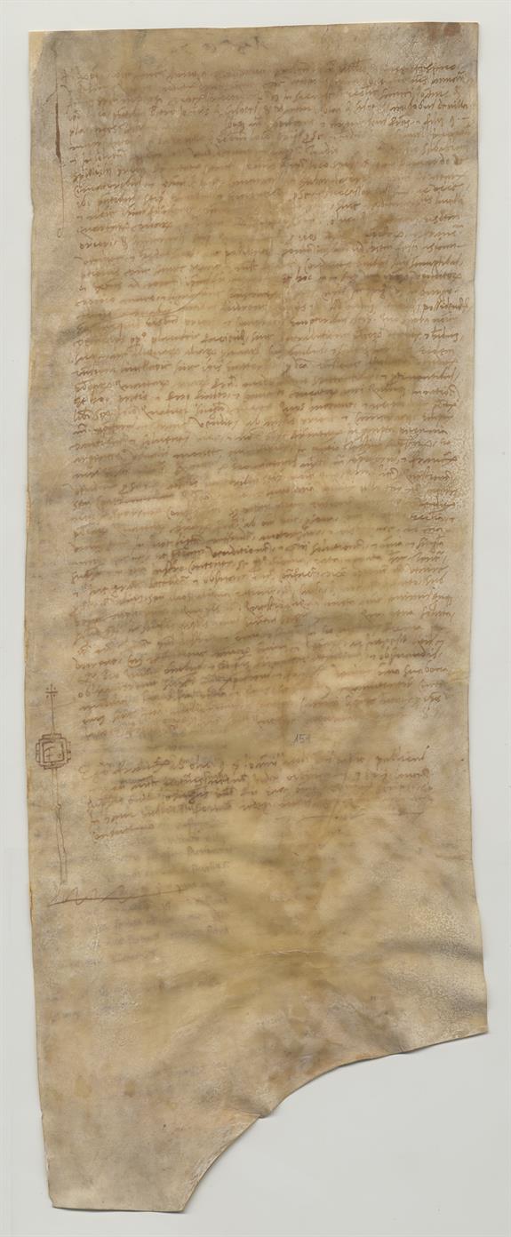 immagine recto pergamena