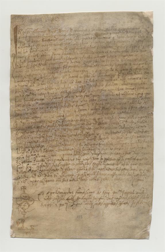 immagine recto pergamena