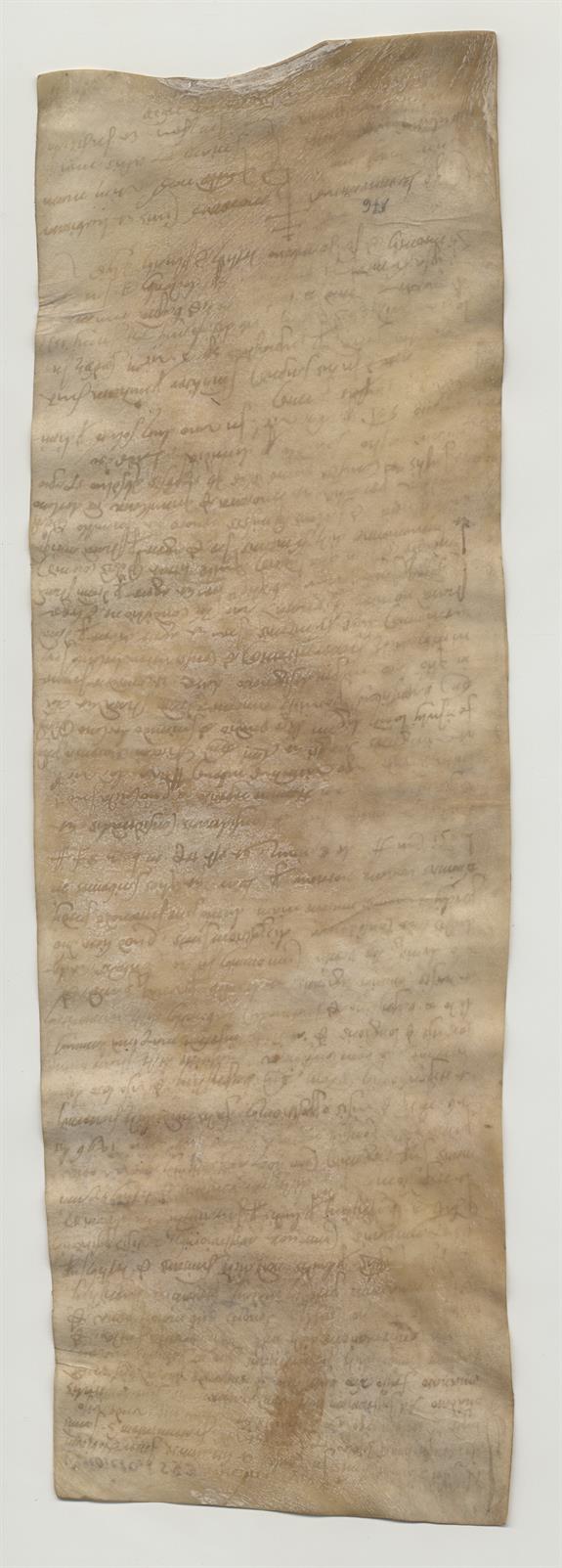 immagine recto pergamena