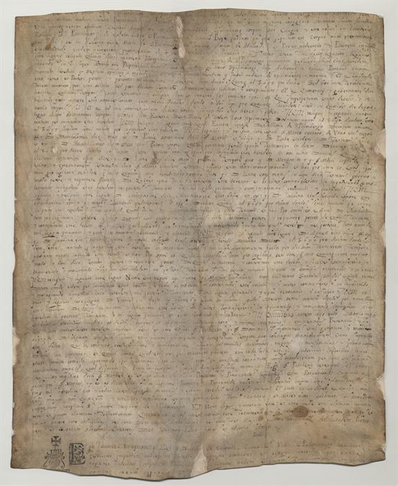 immagine recto pergamena