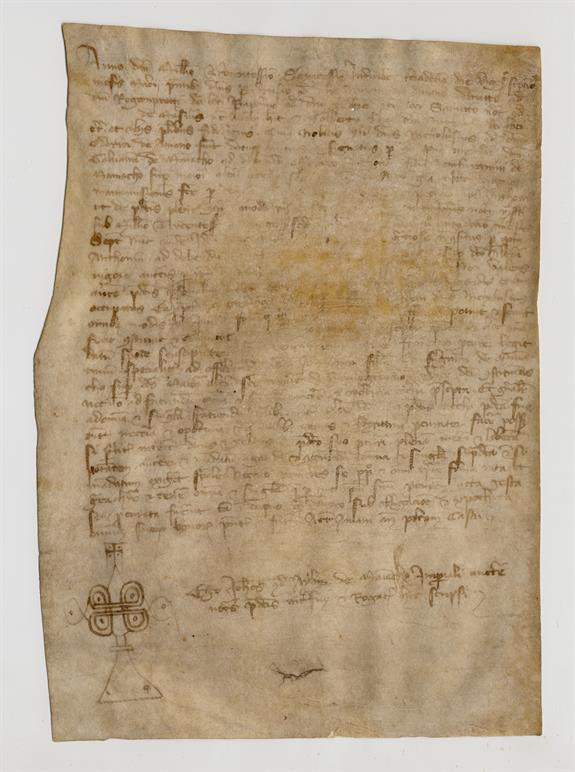 immagine recto pergamena