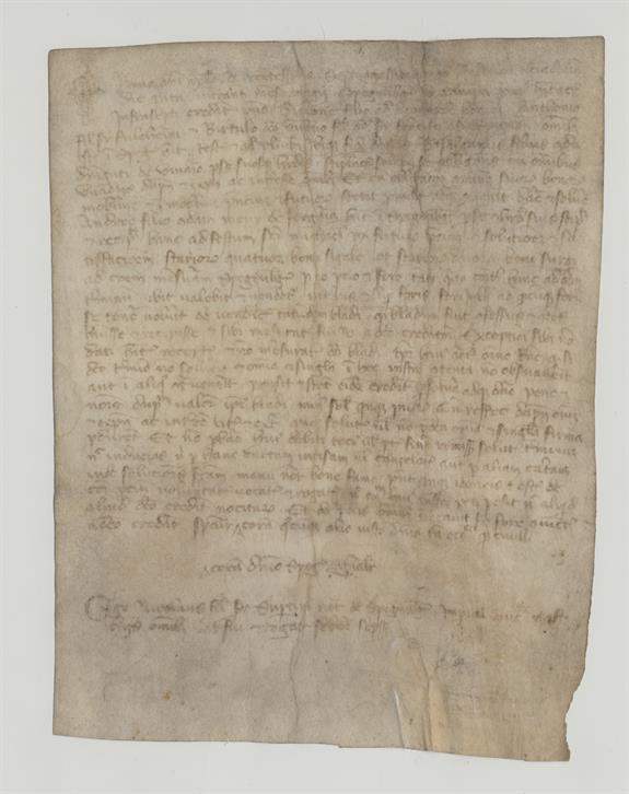 immagine recto pergamena