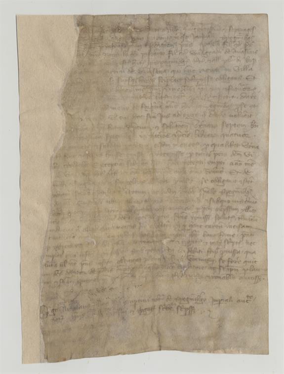 immagine recto pergamena