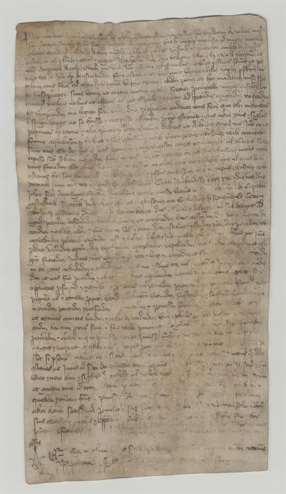 immagine recto pergamena